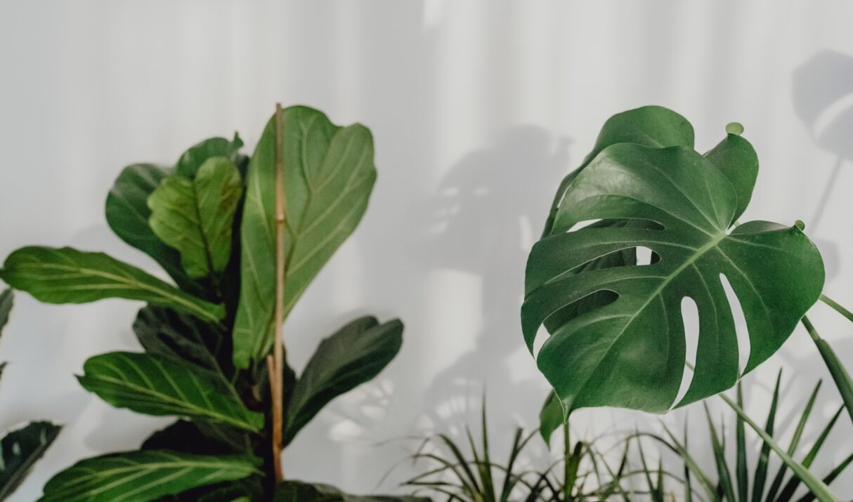 What God Taught Me Through Silence