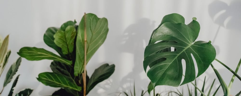 What God Has Taught Me Through Silence